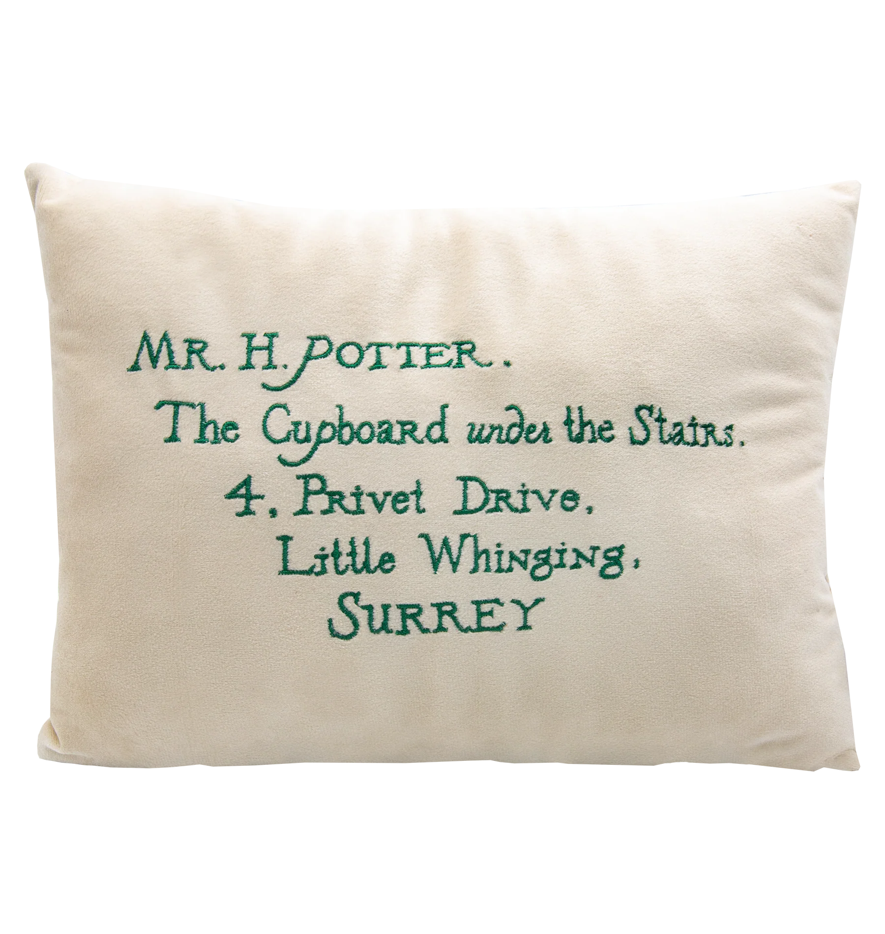 Acceptance Letter Cushion