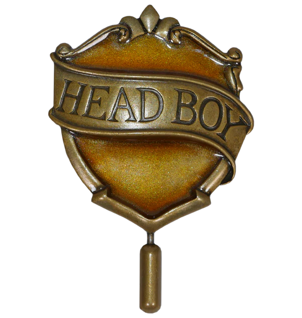 Hufflepuff Head Boy Pin