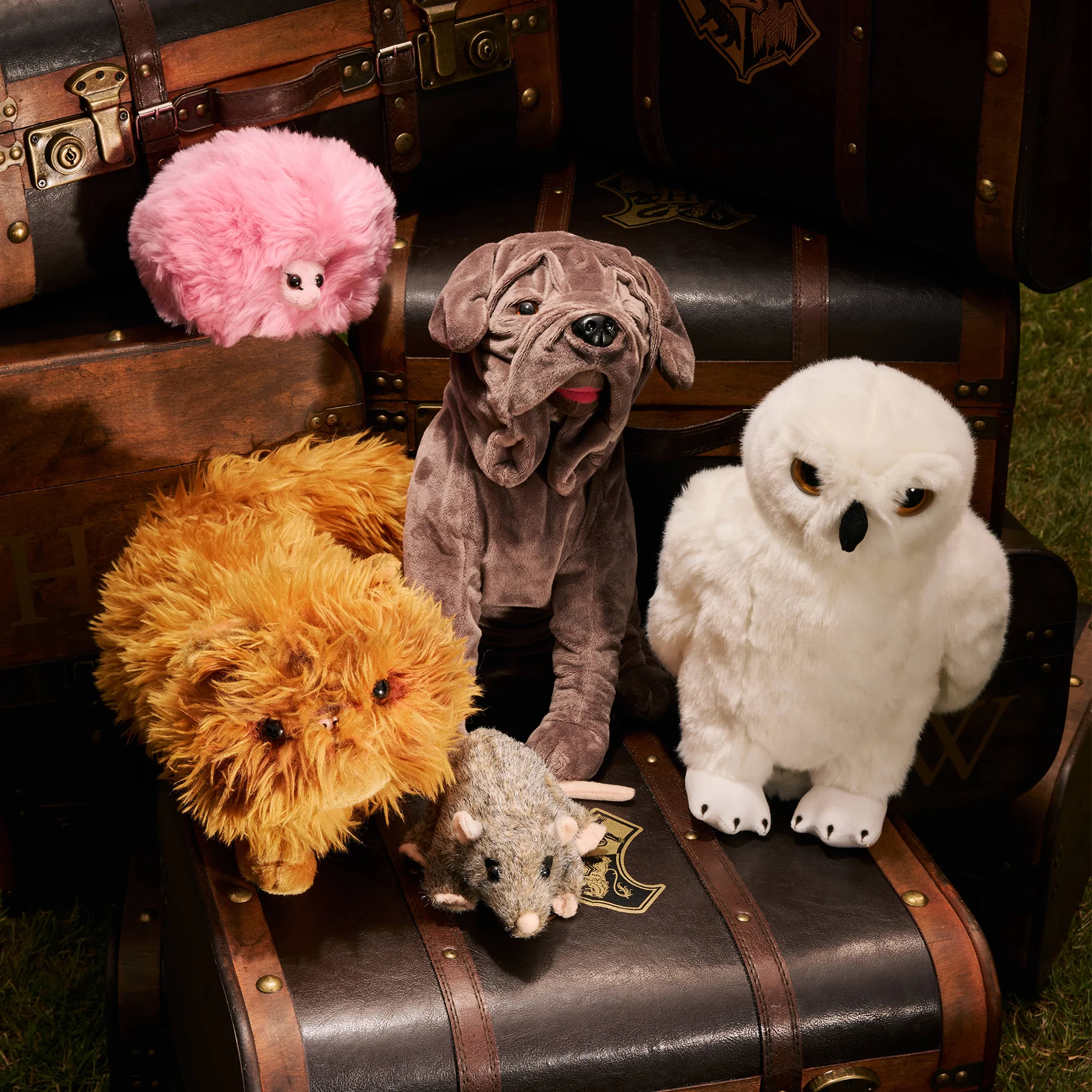 Fang Boarhound Soft Toy - Image 5